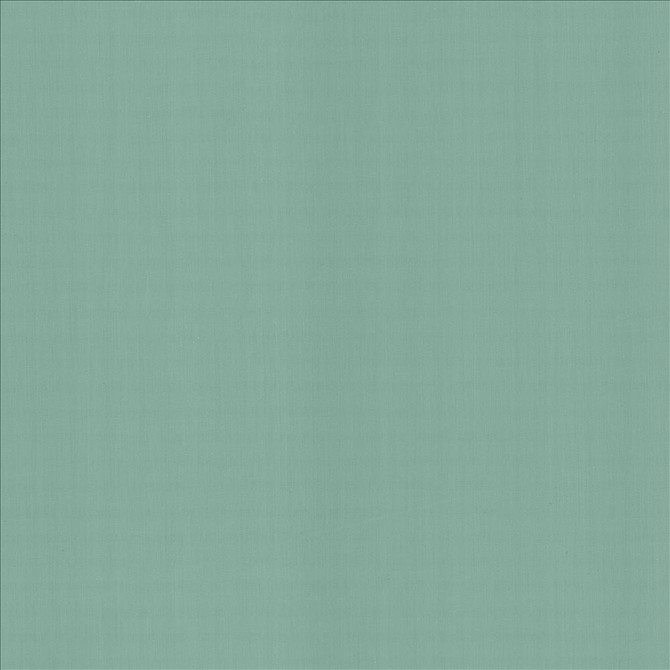 Perception Dew by Kasmir Fabric 5174 100% Cotton
 INDIA 21,000 Wyzenbeek Double Rubs Horizontal: N/A and Vertical: N/A 54 - Fabric Carolina -