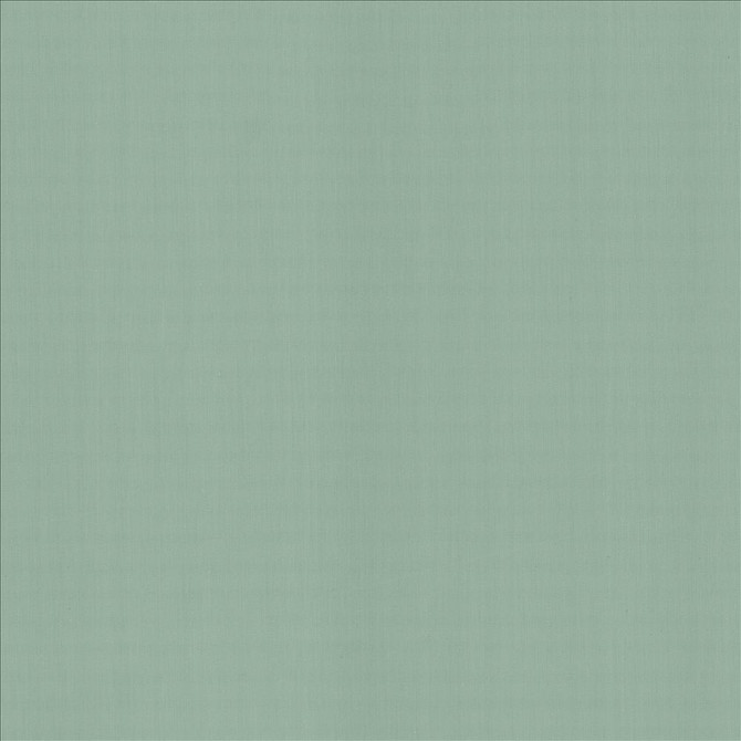 Perception Dew by Kasmir Fabric 5174 100% Cotton
 INDIA </p><p>Repeat: Horizontal: N/A and Vertical: N/A 54 - Fabric Carolina -