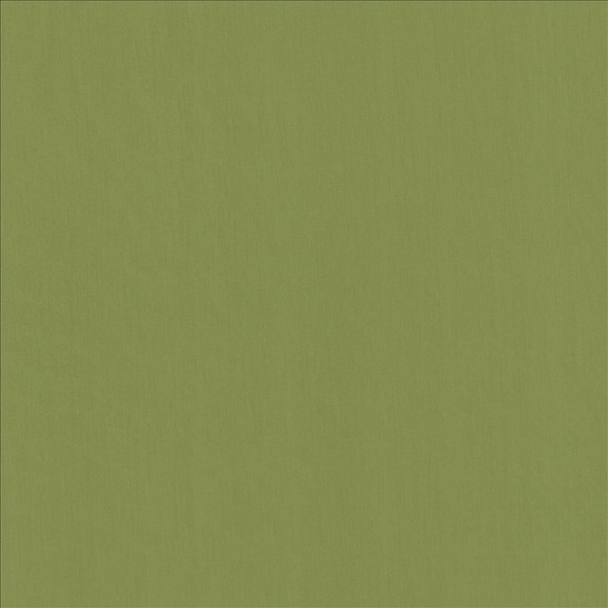 Perception Grass by Kasmir Fabric 5174 100% Cotton
 INDIA </p><p>Repeat: Horizontal: N/A and Vertical: N/A 54 - Fabric Carolina -