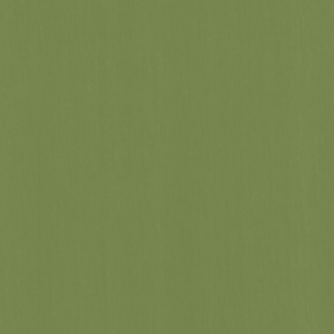 Perception Grass by Kasmir Fabric 5174 100% Cotton
 INDIA </p><p>Repeat: Horizontal: N/A and Vertical: N/A 54 - Fabric Carolina -