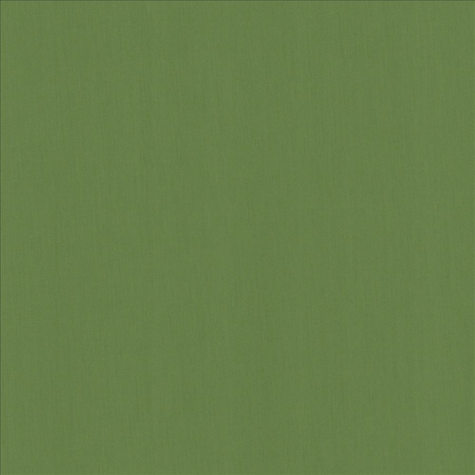 Perception Kelly by Kasmir Fabric 5174 100% Cotton
 INDIA 21,000 Wyzenbeek Double Rubs </p><p>Repeat: Horizontal: N/A and Vertical: N/A 54 - Fabric Carolina -