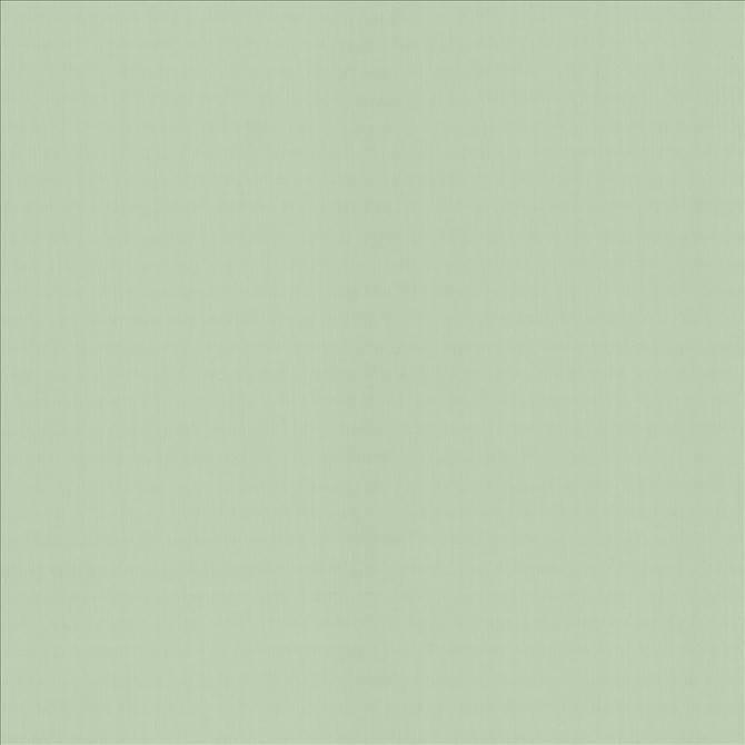 Perception Mint by Kasmir Fabric 5174 100% Cotton
 INDIA 21,000 Wyzenbeek Double Rubs Horizontal: N/A and Vertical: N/A 54 - Fabric Carolina -