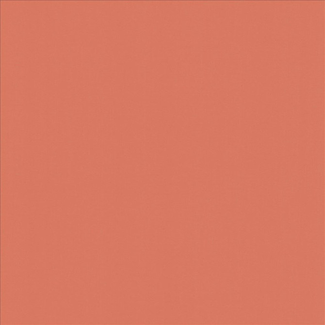 Perception Salmon by Kasmir Fabric 5174 100% Cotton
 INDIA 21,000 Wyzenbeek Double Rubs </p><p>Repeat: Horizontal: N/A and Vertical: N/A 54 - Fabric Carolina -
