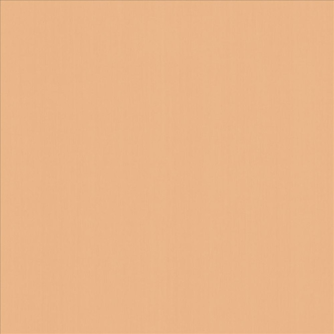 Perception Shell by Kasmir Fabric 5174 100% Cotton
 INDIA </p><p>Repeat: Horizontal: N/A and Vertical: N/A 54 - Fabric Carolina -