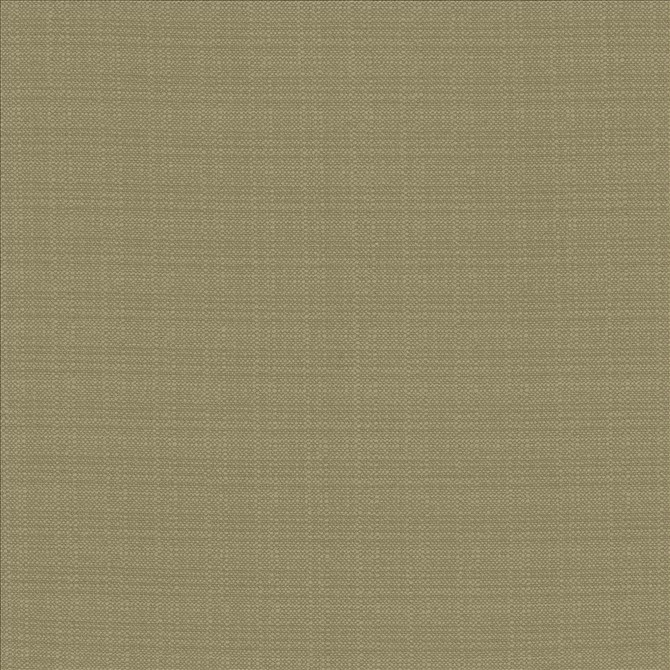 Resilient Julep  by Kasmir Fabric See sample 100% Polyester
 CHINA 100,000 Wyzenbeek Double Rubs </p><p>Repeat: Horizontal: N/A and Vertical: N/A 54  - Fabric Carolina -