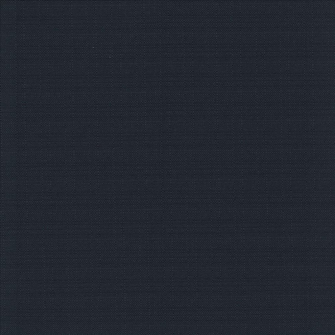 Resilient Midnight by Kasmir Fabric 5173 100% Polyester
 CHINA 100,000 Wyzenbeek Double Rubs </p><p>Repeat: Horizontal: N/A and Vertical: N/A 54 - Fabric Carolina -
