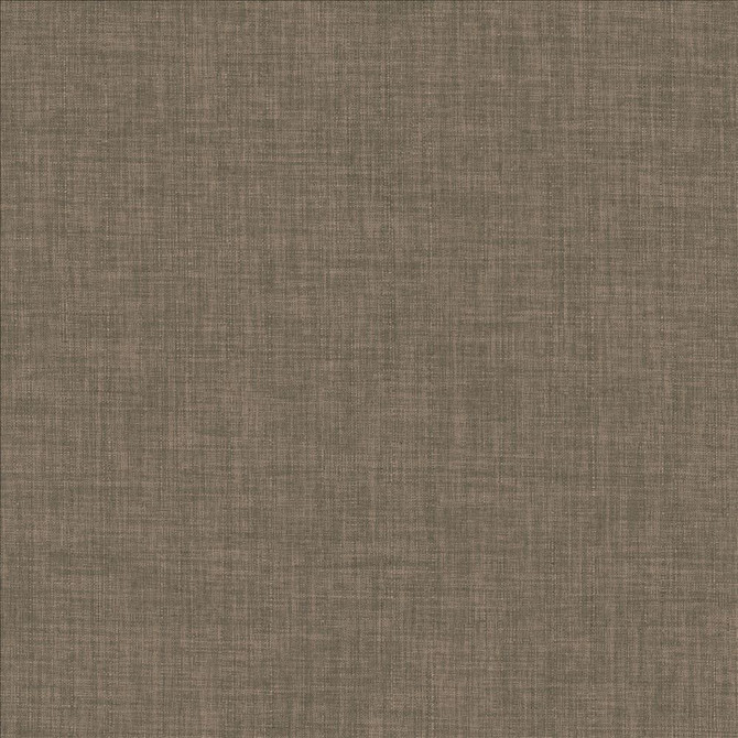 Robust Praline by Kasmir Fabric 5173 100% Polyester
 CHINA </p><p>Repeat: Horizontal: N/A and Vertical: N/A 54 - Fabric Carolina -