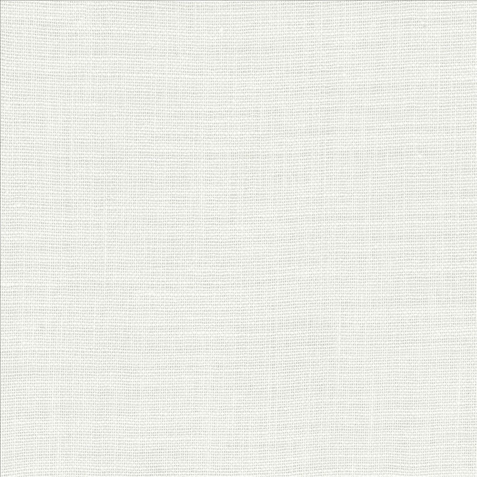 Roxy White by Kasmir Fabric 1459 100% Linen
 POLAND Not Tested </p><p>Repeat: Horizontal: N/A and Vertical: N/A 55 - Fabric Carolina -