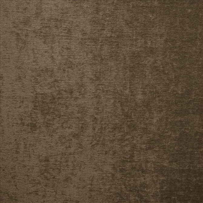 Splendid Chocolate by Kasmir Fabric 5172 100% Polyester
 INDIA </p><p>Repeat: Horizontal: N/A and Vertical: N/A 55 - Fabric Carolina -