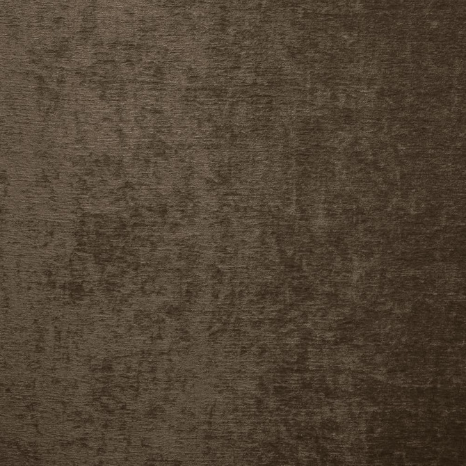 Splendid Chocolate by Kasmir Fabric 5172 100% Polyester
 INDIA </p><p>Repeat: Horizontal: N/A and Vertical: N/A 55 - Fabric Carolina -