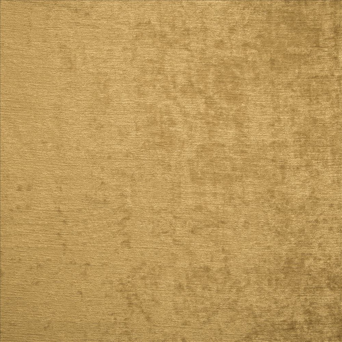 Splendid Vintage Gold  by Kasmir Fabric See sample 100% Polyester
 INDIA 80,000 Wyzenbeek Double Rubs </p><p>Repeat: Horizontal: N/A and Vertical: N/A 55  - Fabric Carolina -