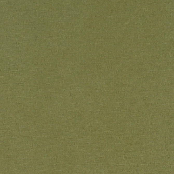 F1097 41 Alora Moss by Clarke and Clarke Fabric STUDIO G COTTON - 100% Spain HEAVY Horizontal: 0 and Vertical: 0 54  - Fabric Carolina -