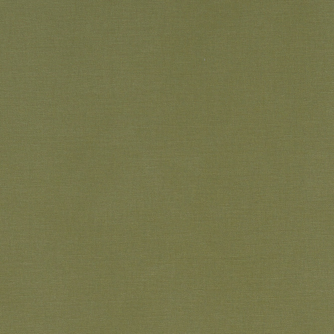 Alora Moss by Clarke And Clarke Fabric CLARKE & CLARKE ALORA COTTON - 100% Spain HEAVY Horizontal: 0 and Vertical: 0 54 - Fabric Carolina -