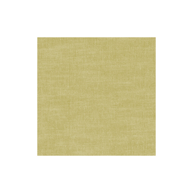Amalfi Chartreuse by Clarke And Clarke Fabric CLARKE & CLARKE AMALFI COTTON - 77%;POLYESTER - 23% India HEAVY Horizontal: 0 and Vertical: 0 54 - Fabric Carolina -