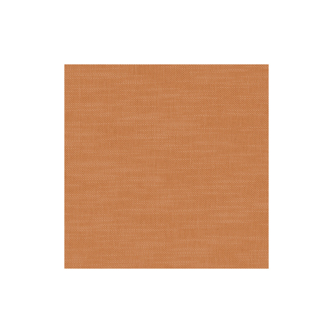 Amalfi Pumpkin by Clarke And Clarke Fabric CLARKE & CLARKE AMALFI COTTON - 77%;POLYESTER - 23% India HEAVY Horizontal: 0 and Vertical: 0 54 - Fabric Carolina -