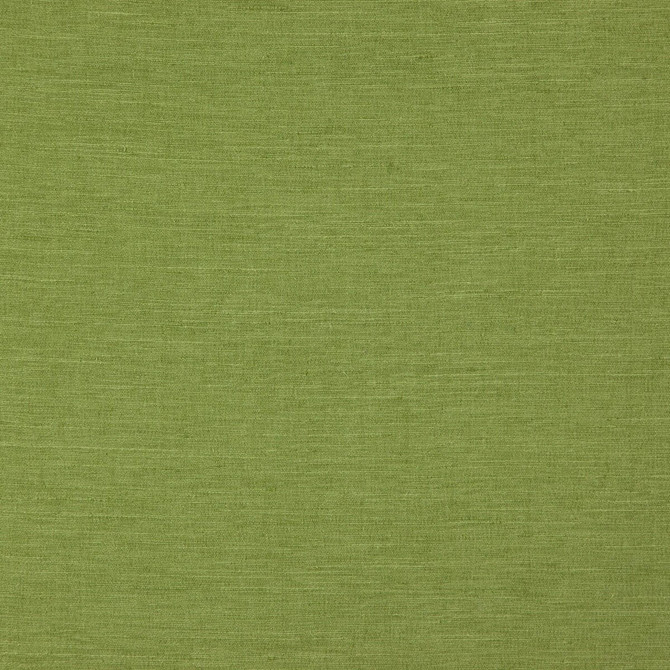 Boston Leaf by Clarke And Clarke Fabric Clarke And Clarke Fabric Boston LeafFabric CLARKE & CLARKE BOSTON POLYESTER FR - 100% India </p><p>Repeat: H: , V: 56.75 - Fabric Carolina -