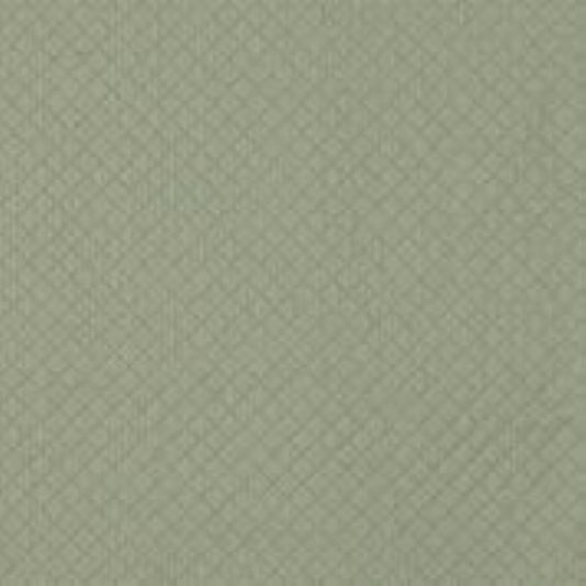 Morocco Silver 90 by Norbar Fabric PARAMOUNT 100% POLYESTER INDIA 1"V 1"H 55 - Fabric Carolina -