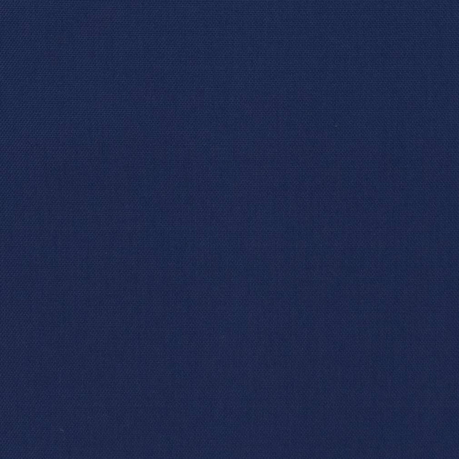 D1418 Indigo by Charlotte Fabric Vibrant Wovens 100% Woven Polypropylene Europe Exceeds 100,000 Wyzenbeek Rubs (Heavy Duty) No Repeat 54 Inches - Fabric Carolina -