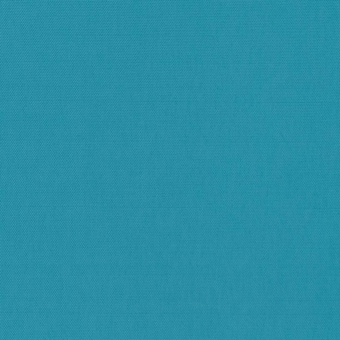 D1413 Caribe by Charlotte Fabric Vibrant Wovens 100% Polypropylene Europe Exceeds 100,000 Wyzenbeek Rubs (Heavy Duty) </p><p>Repeat: No Repeat 54 Inches - Fabric Carolina -