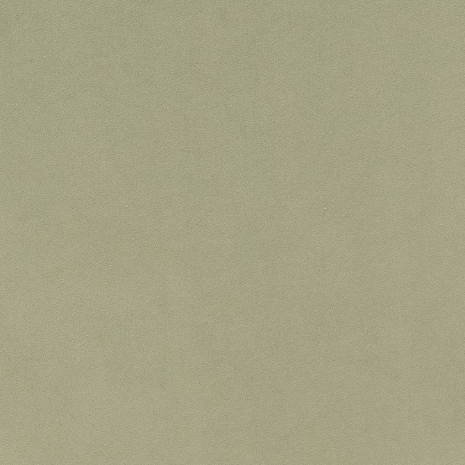 D1494 Mint by Charlotte Fabric Eco Velvet 100% Polyester China Exceeds 200,000 Wyzenbeek Rubs (Heavy Duty) No Repeat 54 Inches - Fabric Carolina -