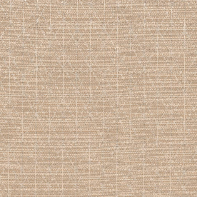 CB700-389 by Charlotte Fabric Shades of Neutral 100% Woven Polyester Asia Exceeds 120,000 Wyzenbeek Rubs (Heavy Duty) </p><p>Repeat: Horizontal: 2.5" x Vertical: 1.25" 54 Inches - Fabric Carolina -