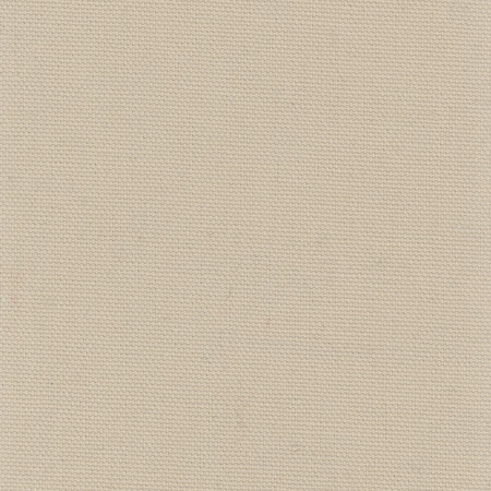Daydreamer Wheat by Carole Fabric Daydreamer III,Daydreaming 100% Cotton-ssr USA Passes 30,000 Double Rubs Wyzenbeek NONE 54"  - Fabric Carolina -