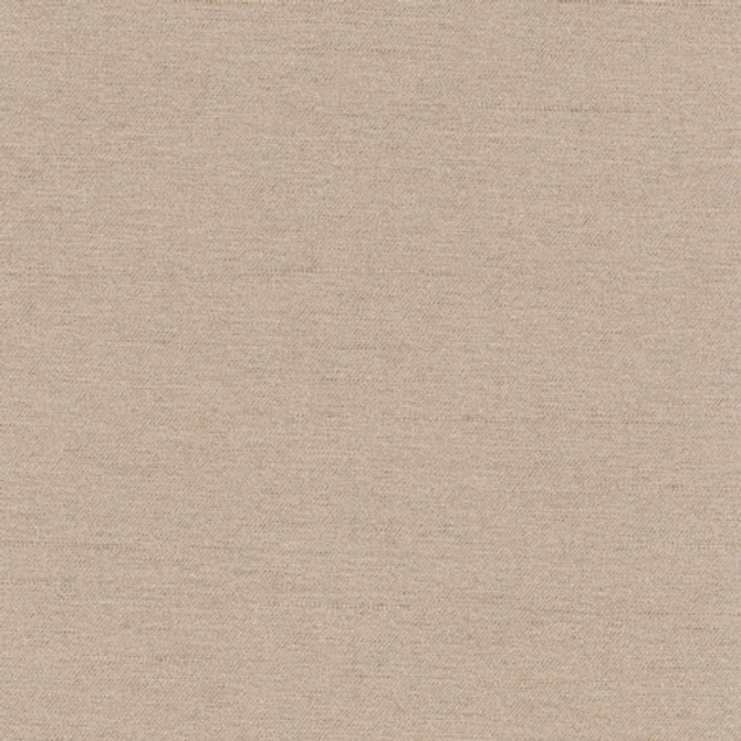 Northwind Owl by Carole Fabric New Northwind III,New Northwind IV,New Northwind IV,Northwind V 100% Polyester India  None 54"  - Fabric Carolina -
