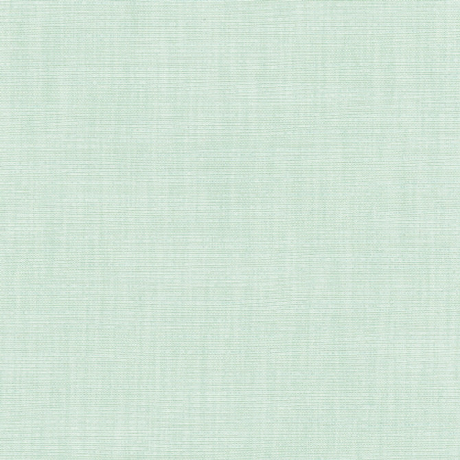 Athlete Seafoam by Carole Fabric Celadon 60% Cotton, 40% Polyester India Passes 50,000 Double Rubs Wyzenbeek Horizontal: None and Vertical: None 55" - Fabric Carolina -