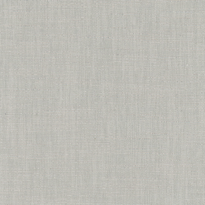 Athlete Sterling by Carole Fabric Pewter 60% Cotton, 40% Polyester India Passes 50,000 Double Rubs Wyzenbeek Horizontal: 0 and Vertical: 0 55 - Fabric Carolina -