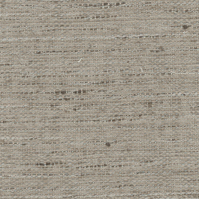 Harpoon Natural by Carole Fabric Opal 100% Polyester India N/A None 54"  - Fabric Carolina -