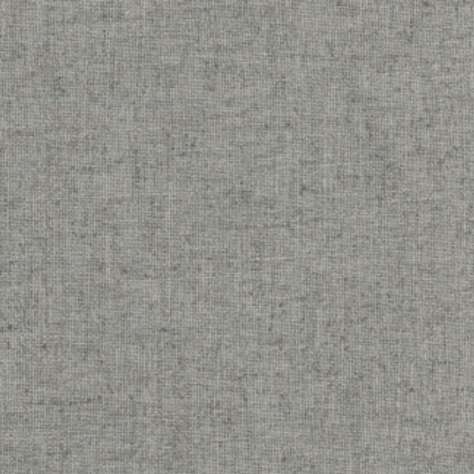 Not Only Platinum by Carole Fabric Texture Theory 85% Polyester, 15% Linen China Passes 40,000 Double Rubs Wyzenbeek None 56"  - Fabric Carolina -