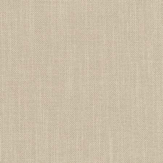 Liberty Barley by Carole Fabric Liberty,Liberty II 100%  Polyester India  None 54"  - Fabric Carolina -