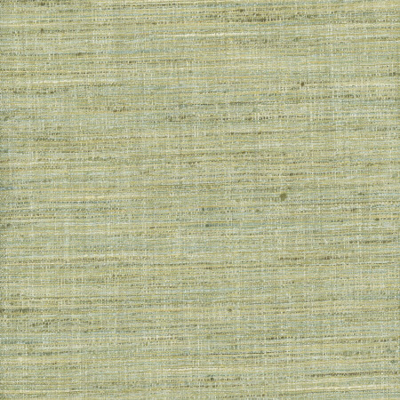 Gear Up Peapod by Carole Fabric Celadon 100% Polyester India Passes 30,000 Double Rubs Wyzenbeek None 5475"  - Fabric Carolina -