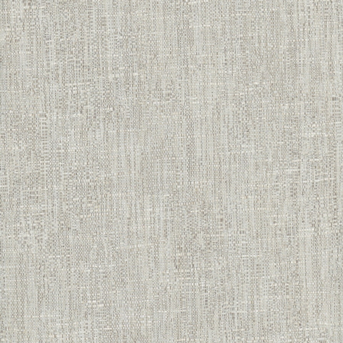Hard Knocks Seagull by Carole Fabric Pewter 69% Polyester, 31% Cotton India  None 55.5"  - Fabric Carolina -