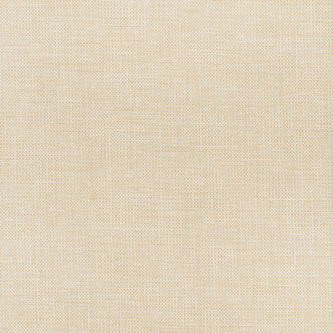 Glisten Blackout White by Carole Fabric For The Window 100% Polyester- 3 Pass Fr Acrylic Backing Blackout India N/A </p><p>Repeat: None 54" - Fabric Carolina -