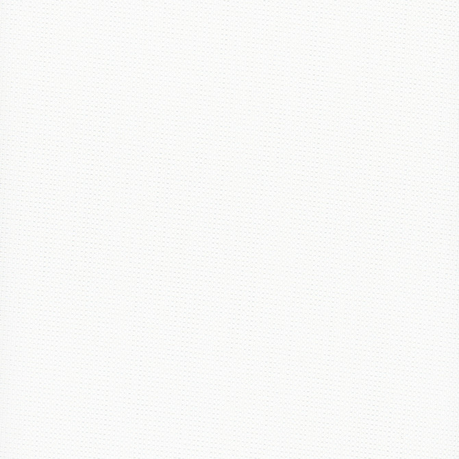 Glisten Blackout White by Carole Fabric For The Window 100% Polyester- 3 Pass Fr Acrylic Backing Blackout India N/A Horizontal: 0 and Vertical: 0 54 - Fabric Carolina -