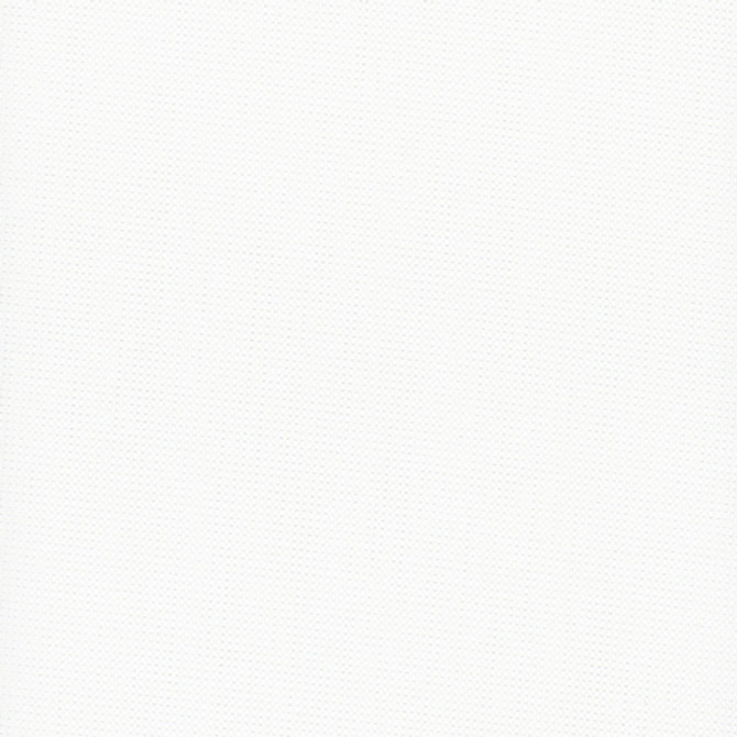 Glisten Blackout White by Carole Fabric For The Window 100% Polyester- 3 Pass Fr Acrylic Backing Blackout India  None 54"  - Fabric Carolina -
