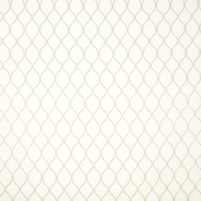 Unbreakable Beige by Carole Fabric Birch 66% Cotton, 20% Polyester, 14% Zari India Passes 50,000 Double Rubs Wyzenbeek Horizontal: 275 and Vertical: 475 53 - Fabric Carolina -