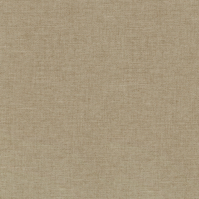 Reba Linen 409115 by PKL Studio Fabric - 100% Polyester China 51000 Horizontal: 0 and Vertical: 0 55 - Fabric Carolina -