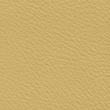 Verve Harvest EVE-016 by Nassimi Fabric See sample 100% Polyurethane USA or Imported Water-based cleaning agents and foam may be used for cleaning. Cleaning by a professional cleaning service is recommended. </p><p>Repeat: Horizontal: and Vertical: 54" - Fabric Carolina -