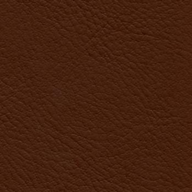 Verve Nutmeg EVE-024 by Nassimi Fabric See sample 100% Polyurethane USA or Imported Water-based cleaning agents and foam may be used for cleaning. Cleaning by a professional cleaning service is recommended. </p><p>Repeat: Horizontal: and Vertical: 54" - Fabric Carolina -