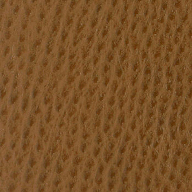 Phoenix Chestnut TPH-102 by Nassimi Fabric See sample 100% Vinyl USA or Imported Water-based cleaning agents and foam may be used for cleaning. Cleaning by a professional cleaning service is recommended. 54 - Fabric Carolina -