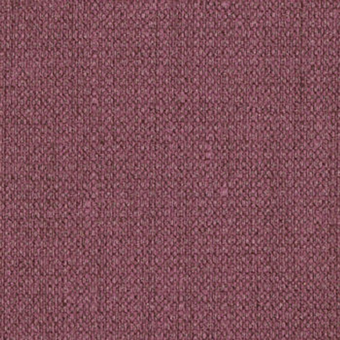 Vibe Grapevine by Nassimi Fabric See sample 100% Vinyl 250000 Horizontal: Not Applicable and Vertical: Not Applicable 54" - Fabric Carolina -