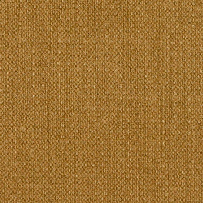 Vibe Yukon TVI-109 by Nassimi Fabric See sample 100% Vinyl USA or Imported Water-based cleaning agents and foam may be used for cleaning. Cleaning by a professional cleaning service is recommended. 54 - Fabric Carolina -