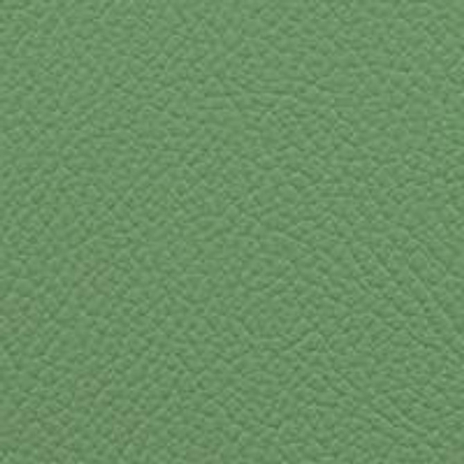 Vista Key Lime VIS-31 by Omnova Fabric See sample 100% Vinyl USA or Imported Water-based cleaning agents and foam may be used for cleaning. Cleaning by a professional cleaning service is recommended. </p><p>Repeat: Horizontal: and Vertical: 54" - Fabric Carolina -
