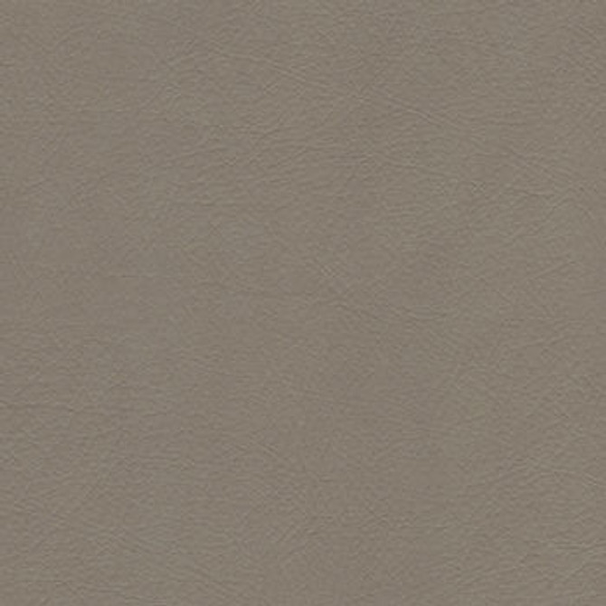 Whisper Fawn by Spradling Fabric See sample 100% Vinyl 100000 Horizontal: Not Applicable and Vertical: Not Applicable 54" - Fabric Carolina -