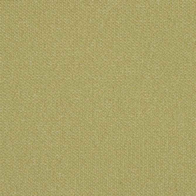 Bella Chive 1005210 by Crypton Fabric See sample 100% Polyester USA or Imported Water-based cleaning agents and foam may be used for cleaning. This fabric may also be cleaned with mild, water-free solvents. Cleaning by a professional service is recommended. </p><p>Repeat: Horizontal: Not Applicable and Vertical: Not Applicable 54" - Fabric Carolina -