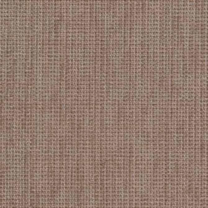 Bianca Fawn 1005230 by Crypton Fabric See sample 100% Polyester USA or Imported Water-based cleaning agents and foam may be used for cleaning. This fabric may also be cleaned with mild, water-free solvents. Cleaning by a professional service is recommended. </p><p>Repeat: Horizontal: Not Applicable and Vertical: Not Applicable 54" - Fabric Carolina -