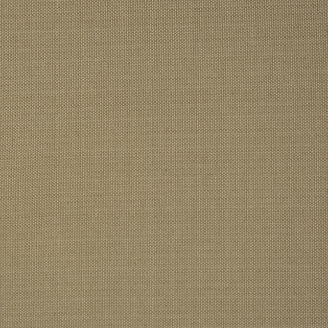 Change Thyme by RM CoCo Fabric Metamorphosis 100% Polyester Horizontal: 0 and Vertical: 0 54 - Fabric Carolina -