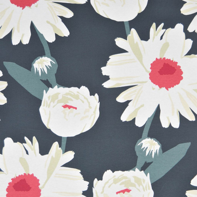20Sr S446 by RM CoCo Fabric Luxe prior to 5/1/2017 75% Cotton 25% Polyester See Sample 0 Horizontal: 26.88 and Vertical: 25 53.9 - Fabric Carolina -